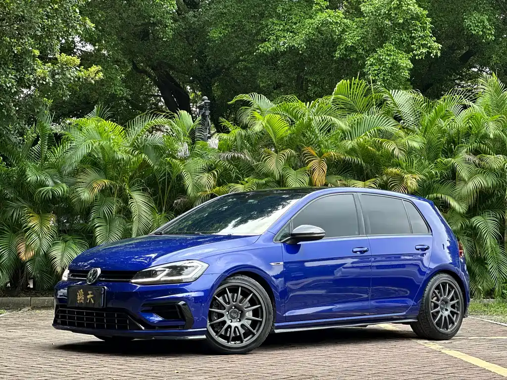 Volkswagen Golf (Import) — миниатюра 28