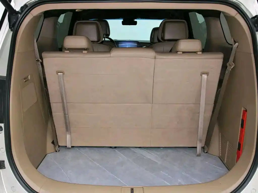 Buick GL8 — миниатюра 16