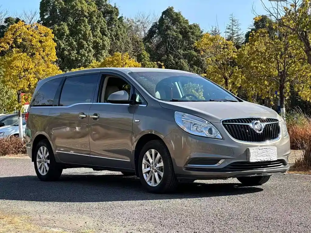 Buick GL8 2017 25S Luxury V