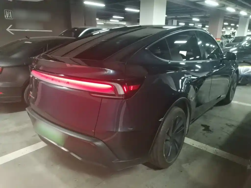 Tesla Model Y — миниатюра 7