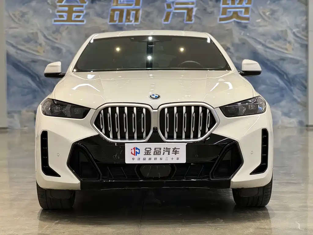BMW X6 — миниатюра 2