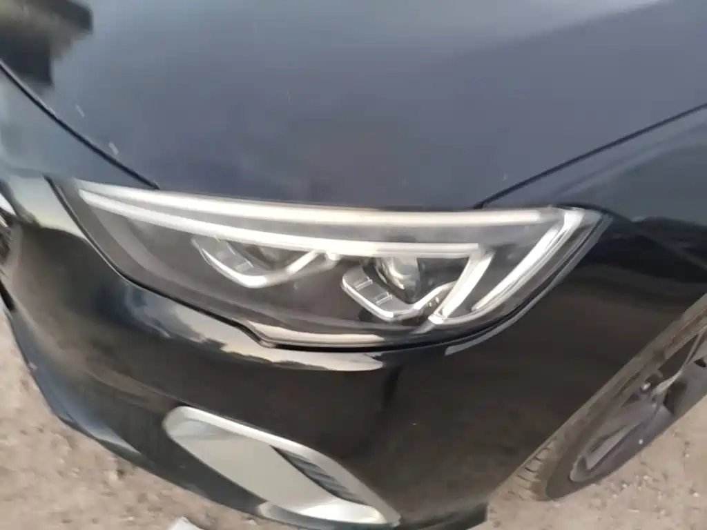 Buick Regal — миниатюра 24