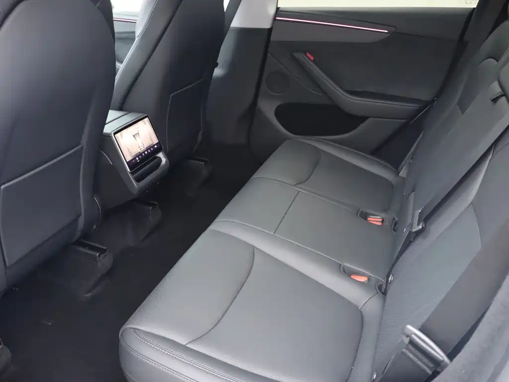 Tesla Model Y — миниатюра 13