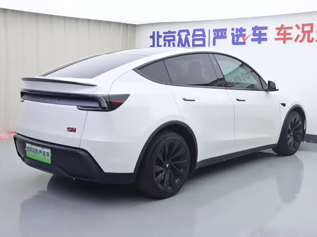 Tesla Model Y — миниатюра 23