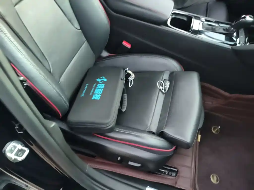 Buick Regal — миниатюра 25