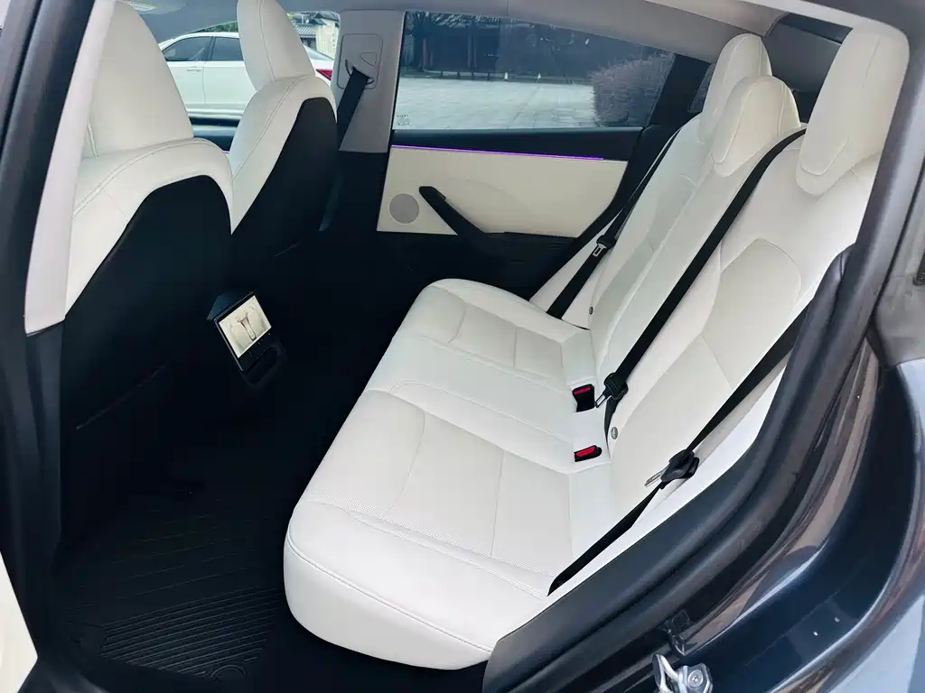 Tesla Model 3 — миниатюра 13