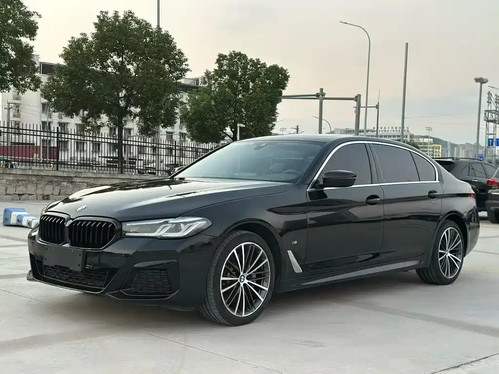 BMW 5 Series — миниатюра 3