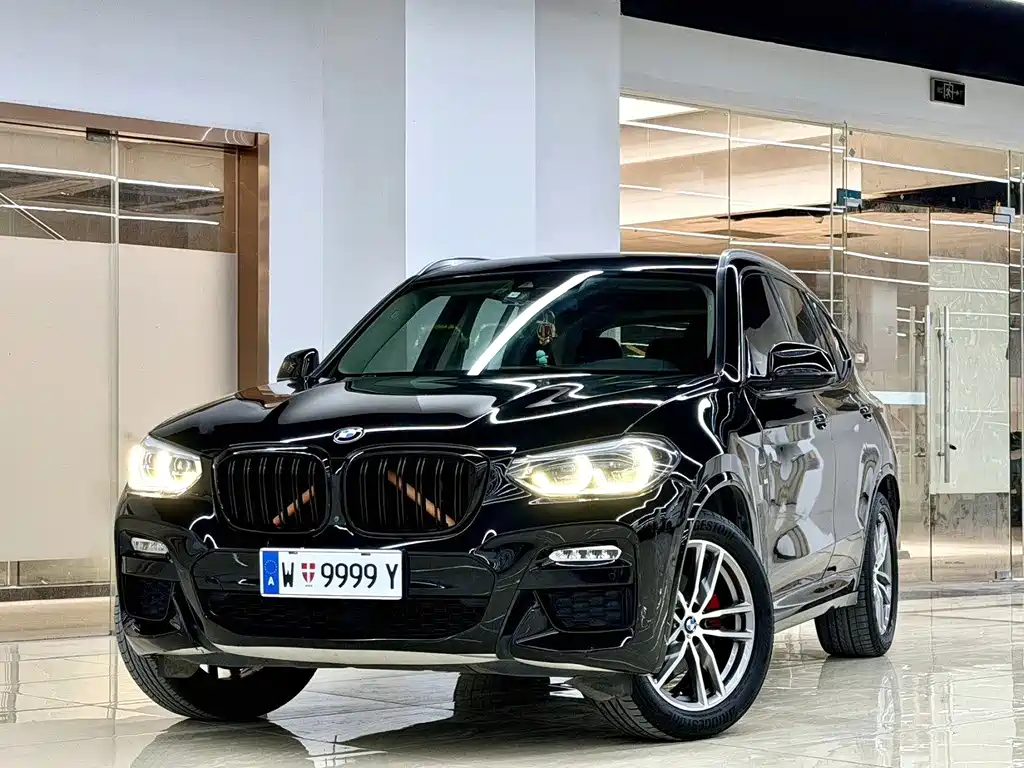 BMW X3 — миниатюра 2