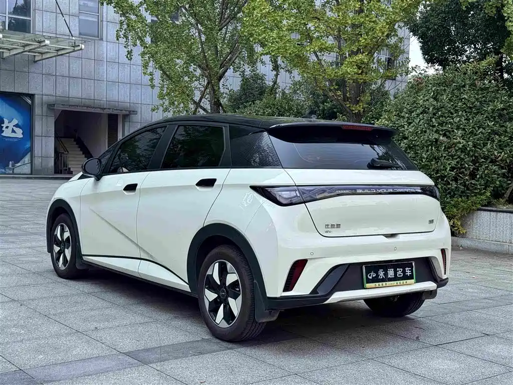 BYD Dolphin — миниатюра 13
