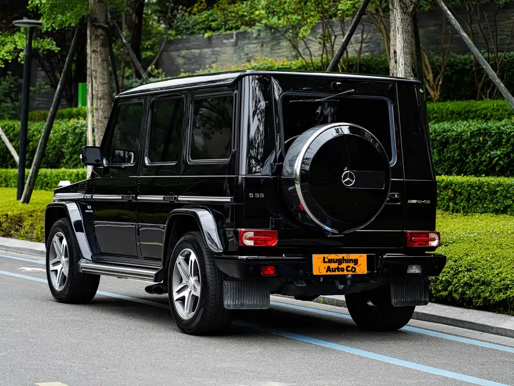 Mercedes-Benz G-Class A MG G AMG 2009 AMG G 55