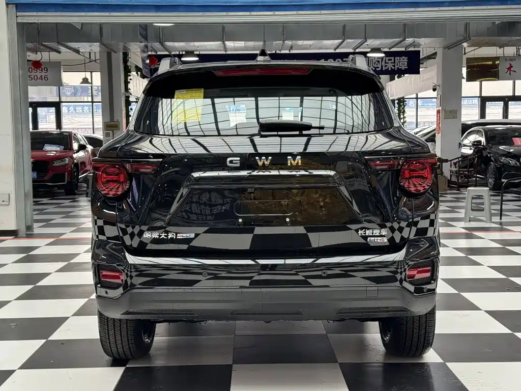 Haval Big Dog PLUS New Energy — миниатюра 8