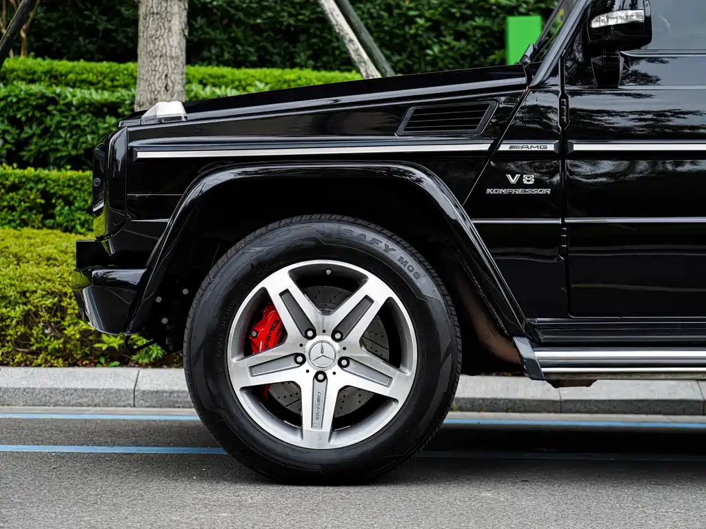 Mercedes-Benz G-Class A MG G AMG 2009 AMG G 55