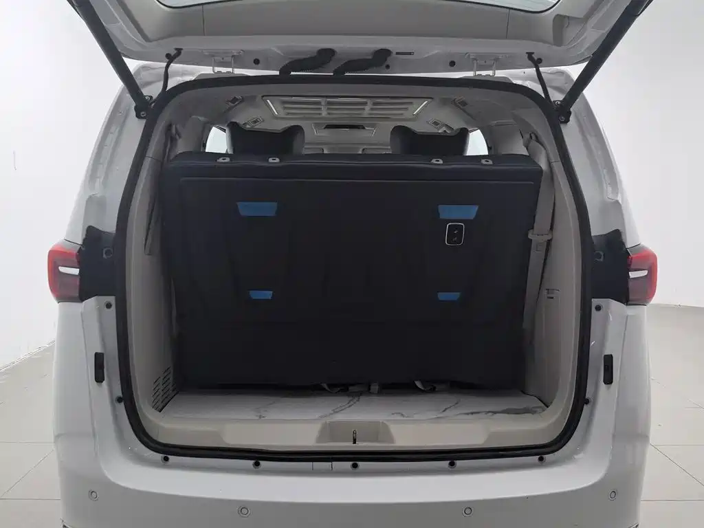 Buick GL8 — миниатюра 16