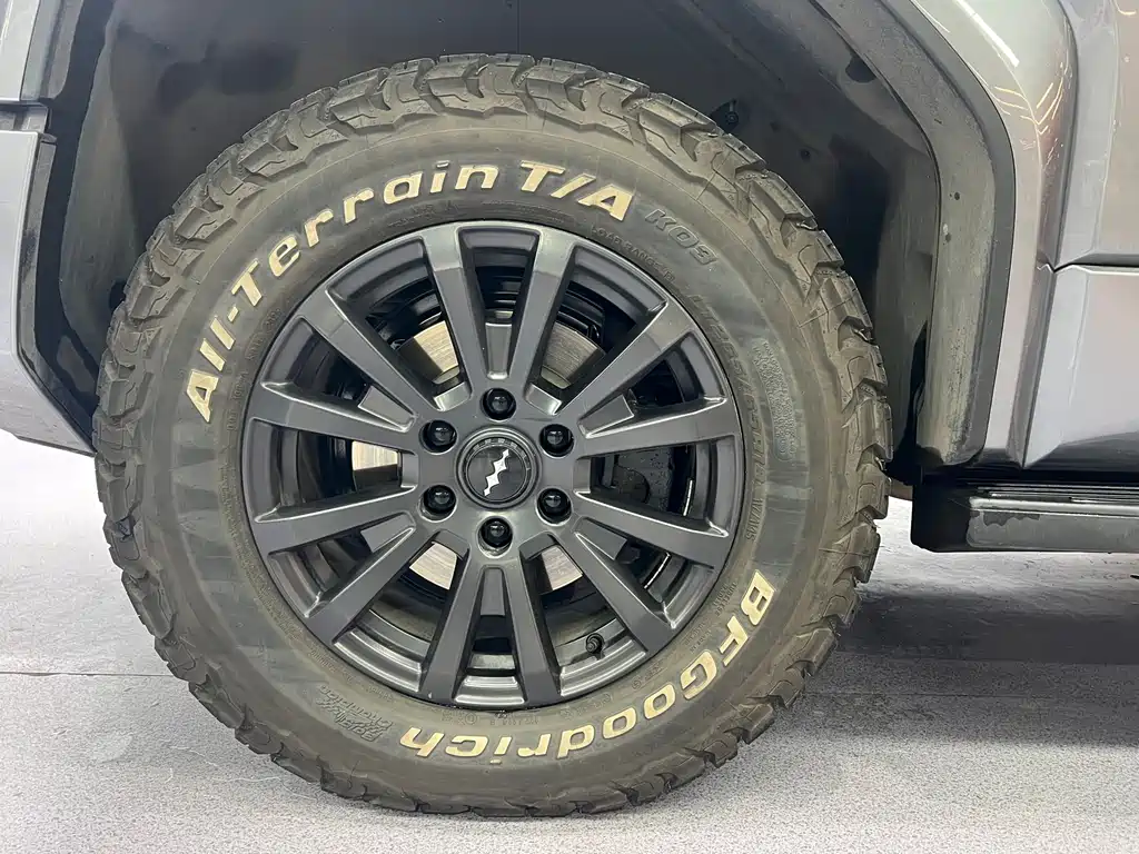 FANG CHENG BAO LEOPARD 5