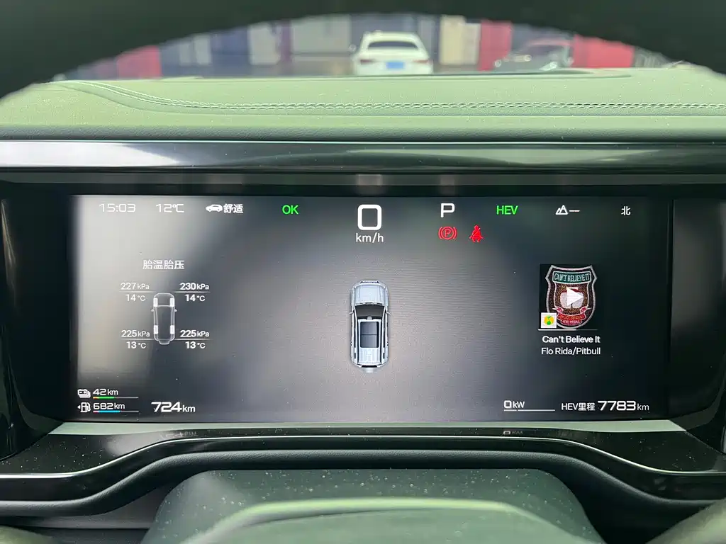 FANG CHENG BAO LEOPARD 5