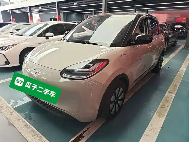 WULING AUTOMOBILE WULING BINGGUO 2023