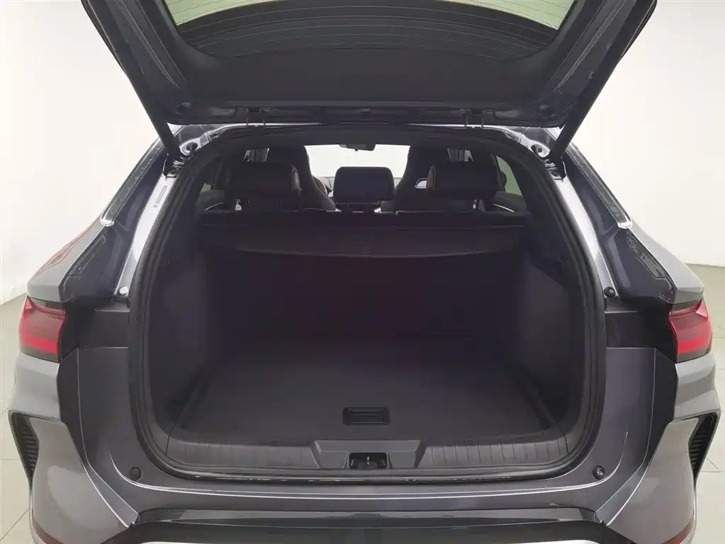 BYD SONGJIANG NEW ENERGY