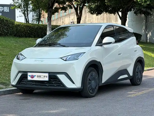 2024 BYD Seagull