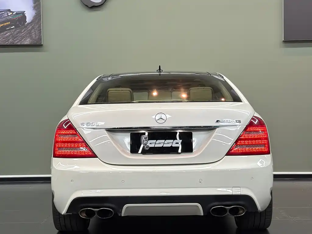 Mercedes-Benz S-Class A MG S AMG 2010 AMG S 65
