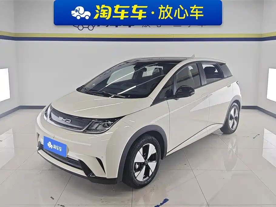 Byd Dolphin 2024