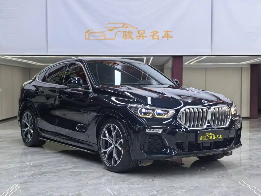 BMW X6 — миниатюра 3