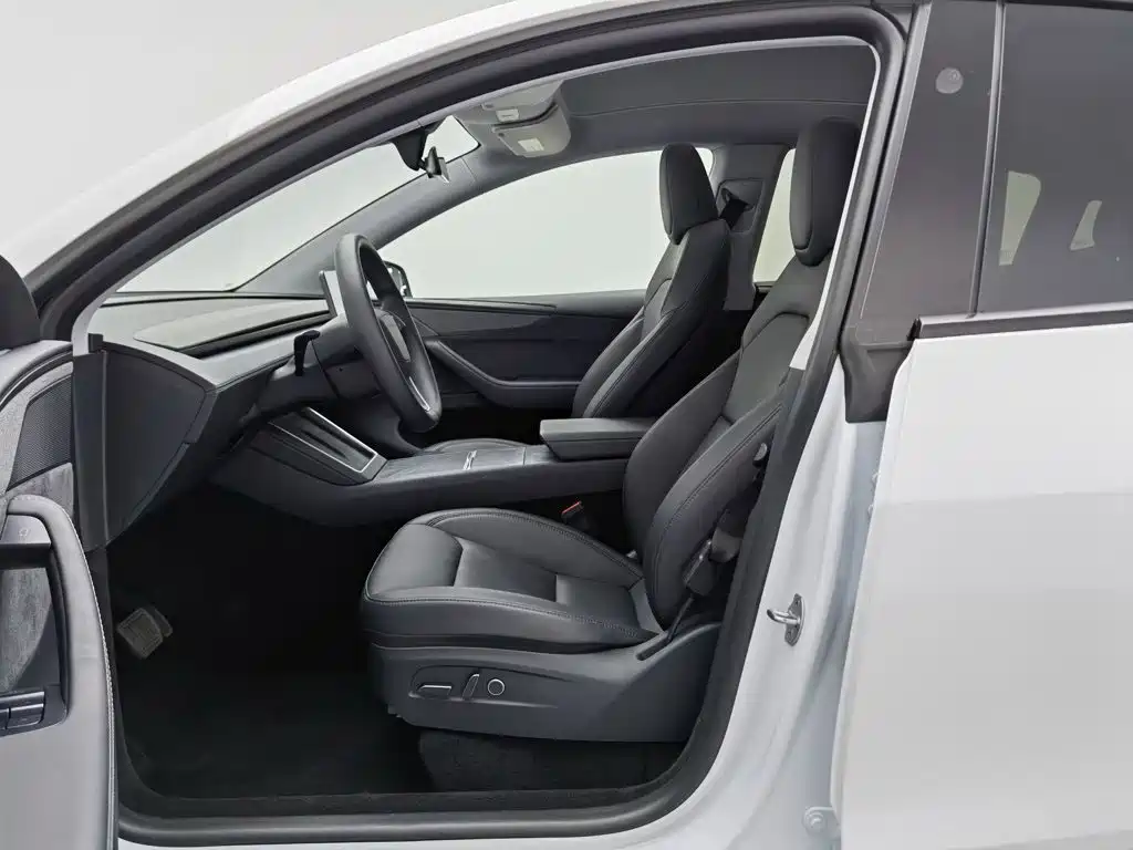 Tesla Model Y — миниатюра 10