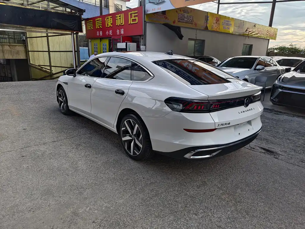 Volkswagen Lamando — миниатюра 7