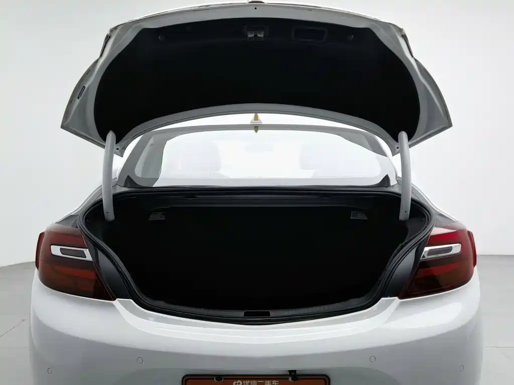 Buick Regal — миниатюра 16