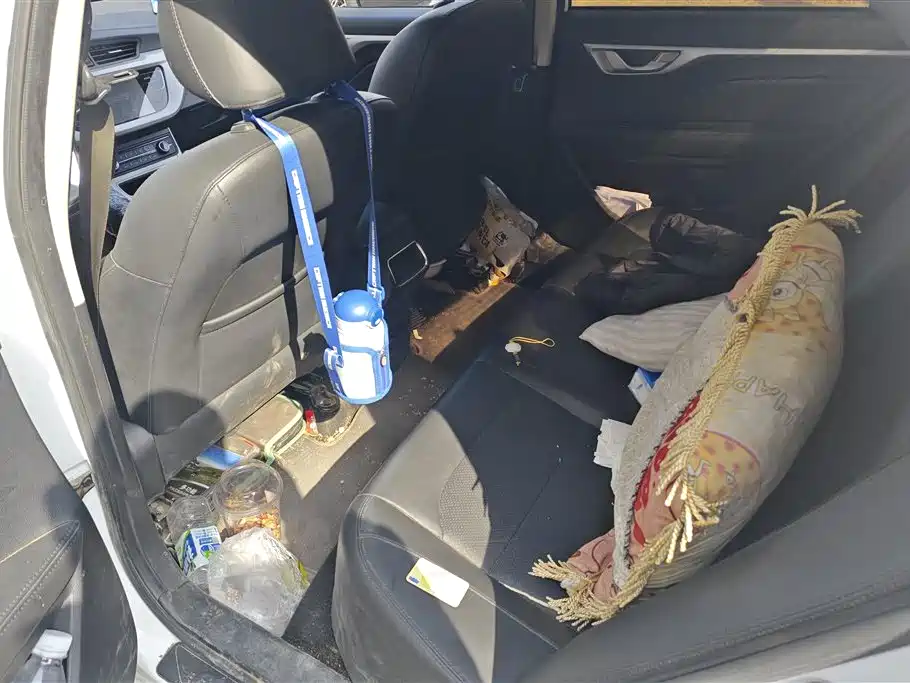 GEELY AUTOMOBILE VISION