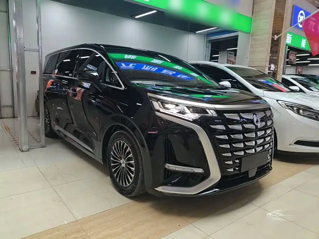 Denza Denza D9 — миниатюра 4