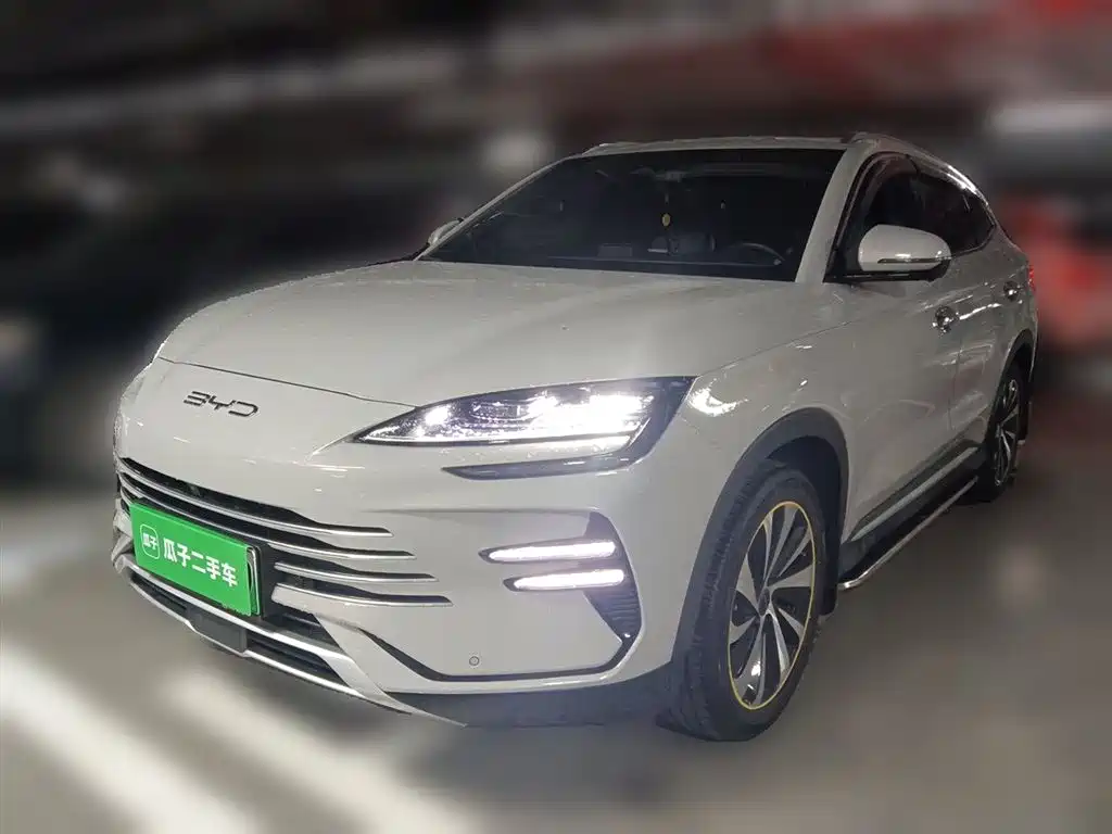 Byd PLUS New Energy 2024