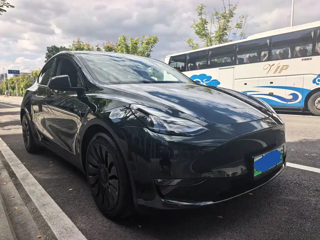 Tesla Model Y — миниатюра 2