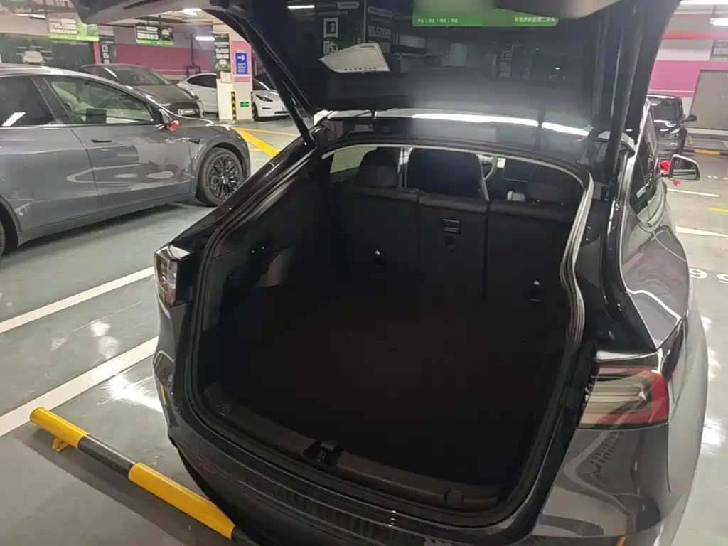 Tesla Model Y — миниатюра 19
