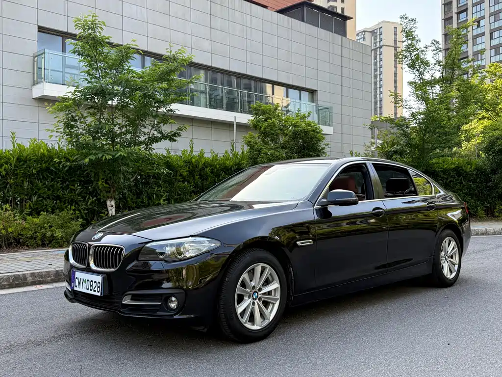 BMW 5 Series 2015