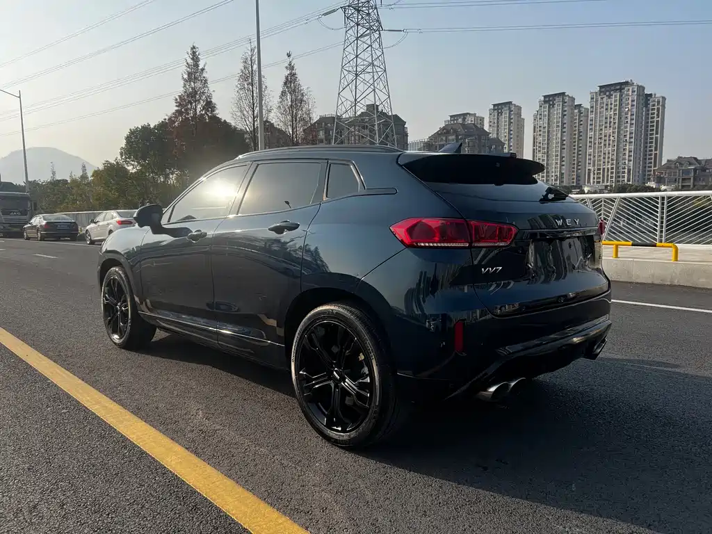 WEI PAI WEI BRAND VV7