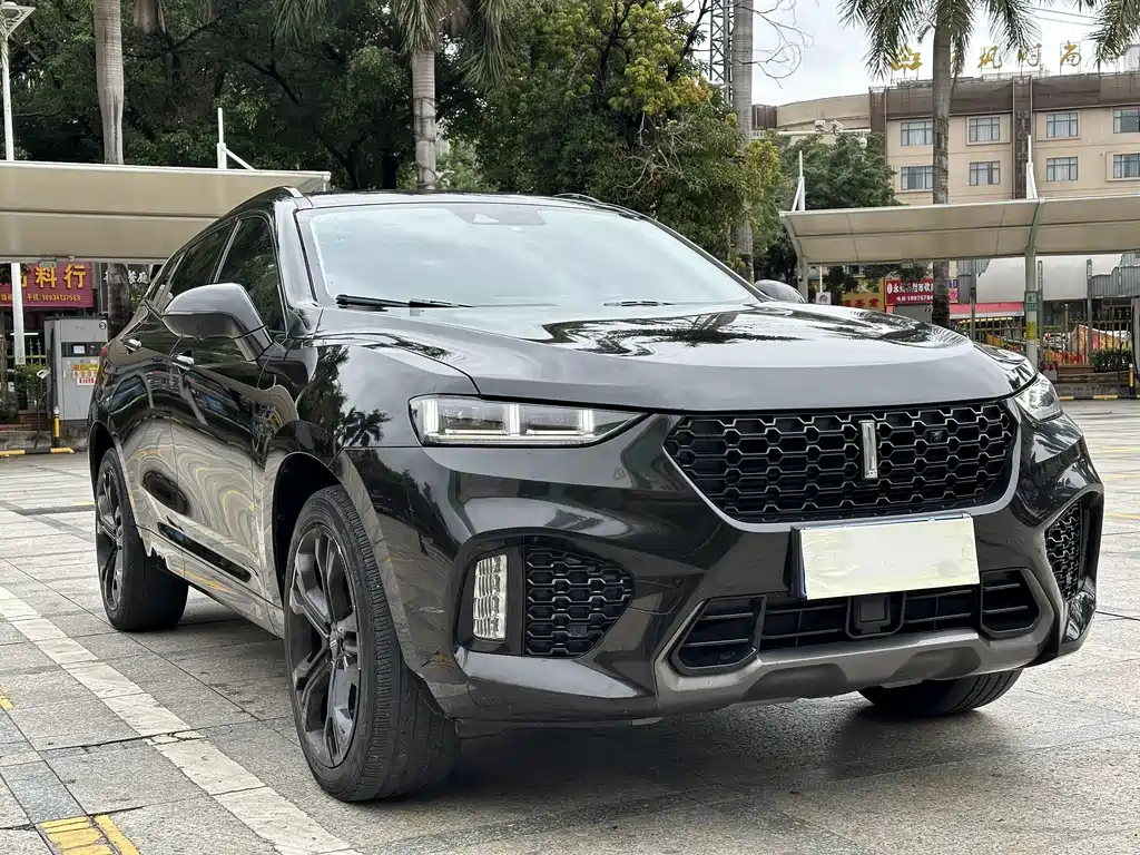 WEI PAI WEI BRAND VV7