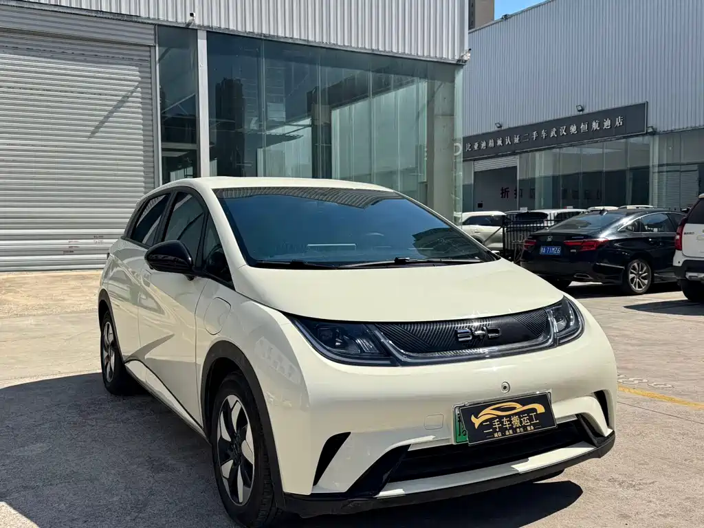 BYD Dolphin — миниатюра 3