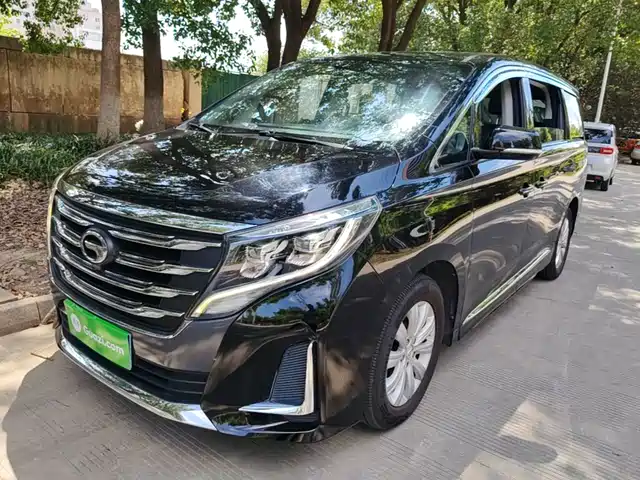 2020 GAC Trumpchi M8