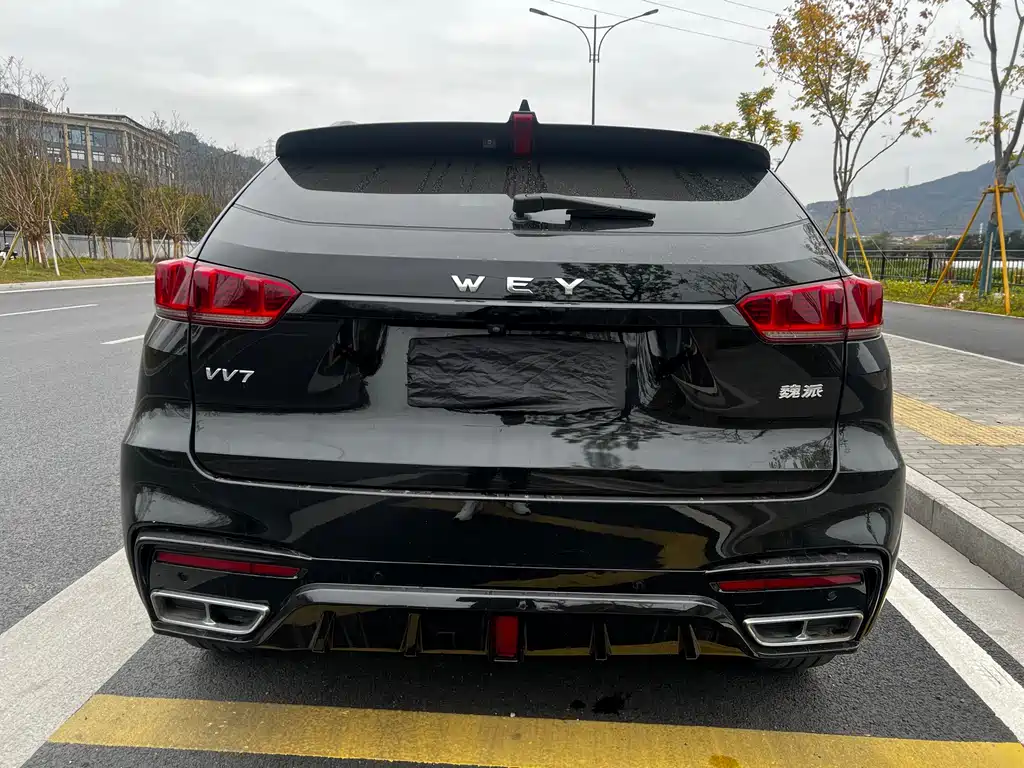 WEI PAI WEI BRAND VV7