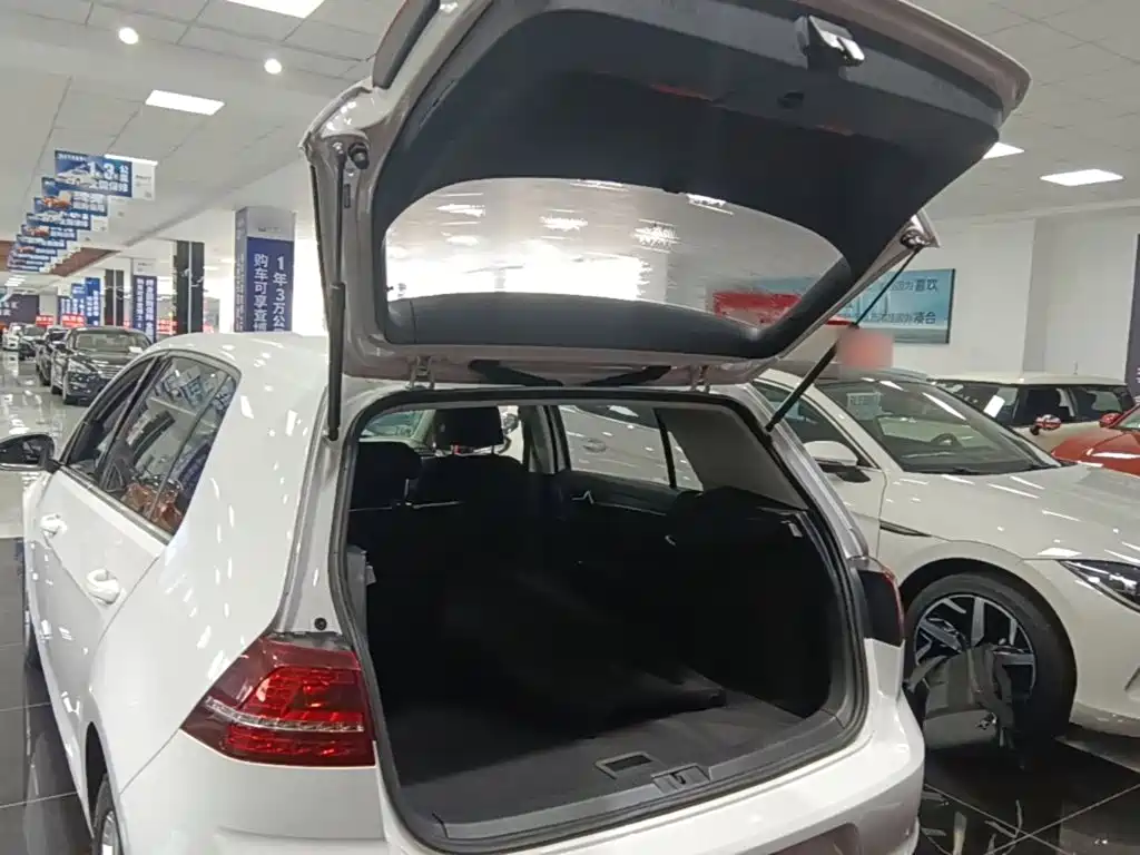 Volkswagen Golf — миниатюра 19