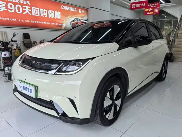 2024 BYD Dolphin