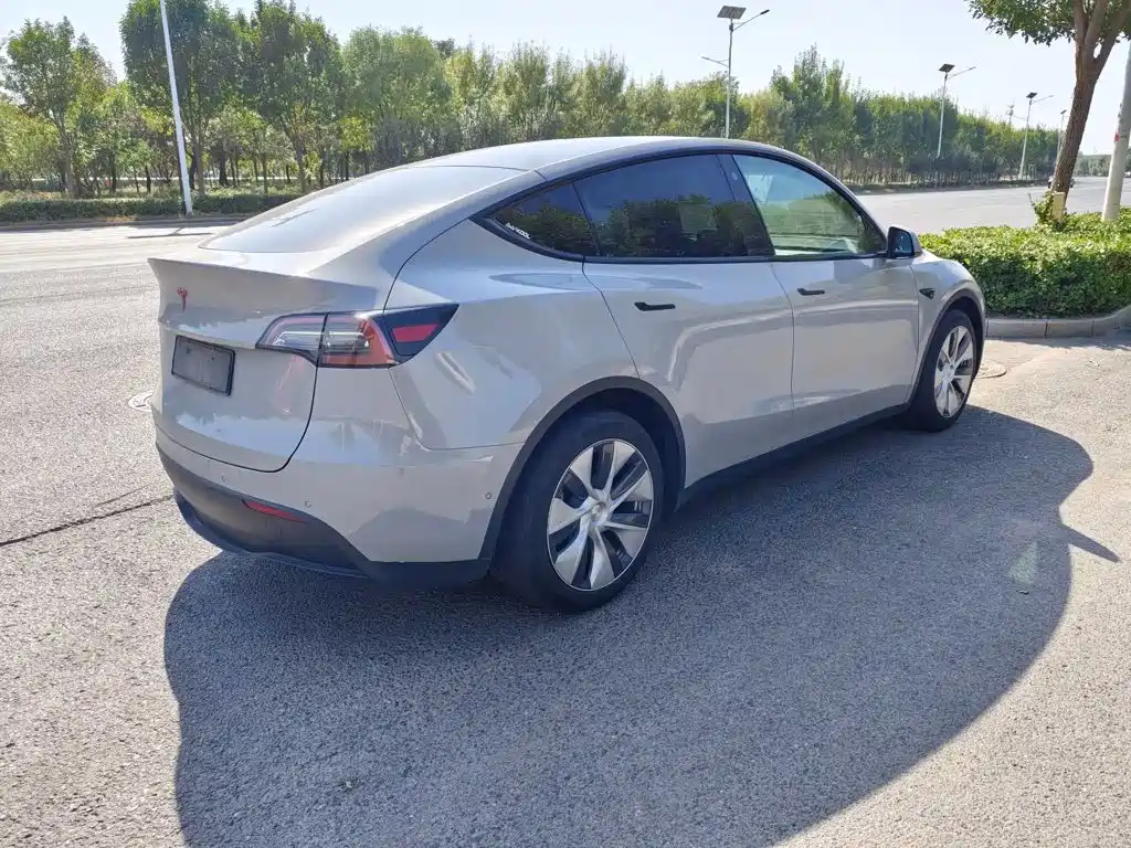 Tesla Model Y — миниатюра 5