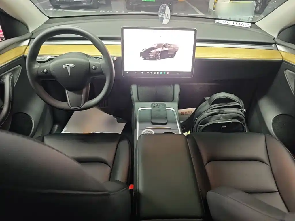 Tesla Model Y — миниатюра 10