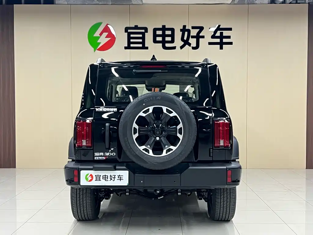 TANK TANK 300 NEW ENERGY