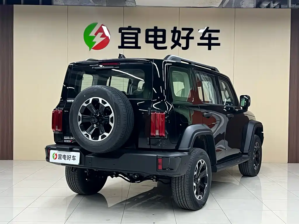 TANK TANK 300 NEW ENERGY