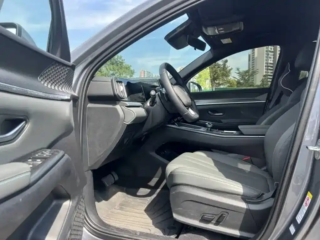 BYD Pro New Energy — миниатюра 4