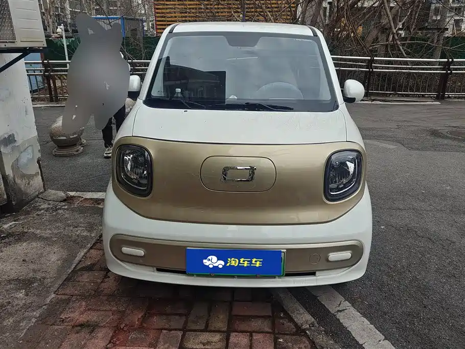 BESTUNE PENTIUM PONY