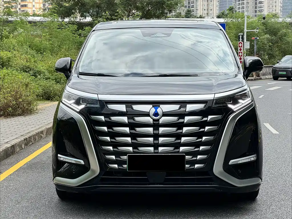 Denza Denza D9 — миниатюра 2