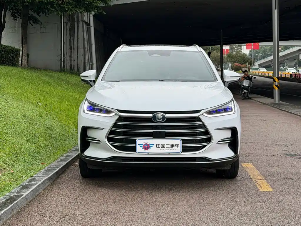 BYD Tang New Energy — миниатюра 2