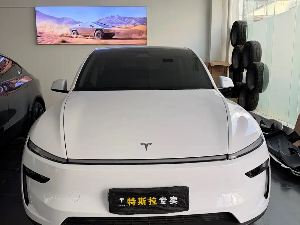 Tesla Model Y — миниатюра 2